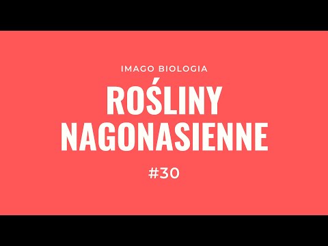 Rośliny nagonasienne
