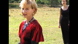 Sarah Storer - The Ballad of Tommy Foster (Julianne Bushby & Jane Urbanik Cover).wmv