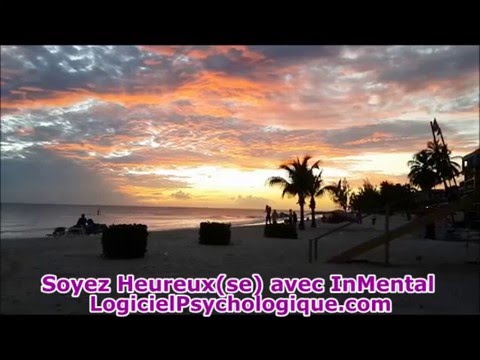 Logiciel Psychologique Mentale