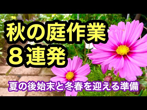 ヘレボルインタビュー