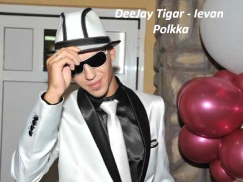 DeeJay Tigar - Ievan Polkka