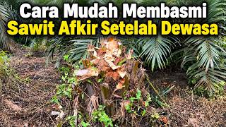 https://www.youtube.com/watch?v=osQypyD6teg