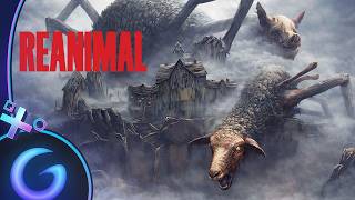 Vidéo Reanimal
