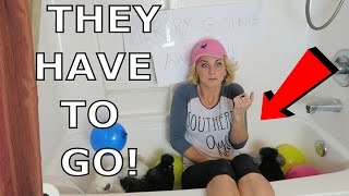 THE CHICKENS HAVE TO GO...!!  - Adley Stump Vlog 5