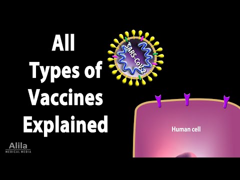 All Types of Vaccines, How They Work, Animation.