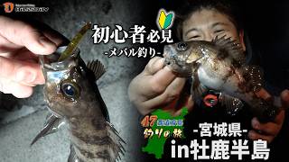 バスデイ株式会社 バスデイ ジップベイツ 他 ルアー 8個 まとめ売り