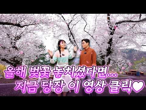 여기 다 무료 명소라고? 