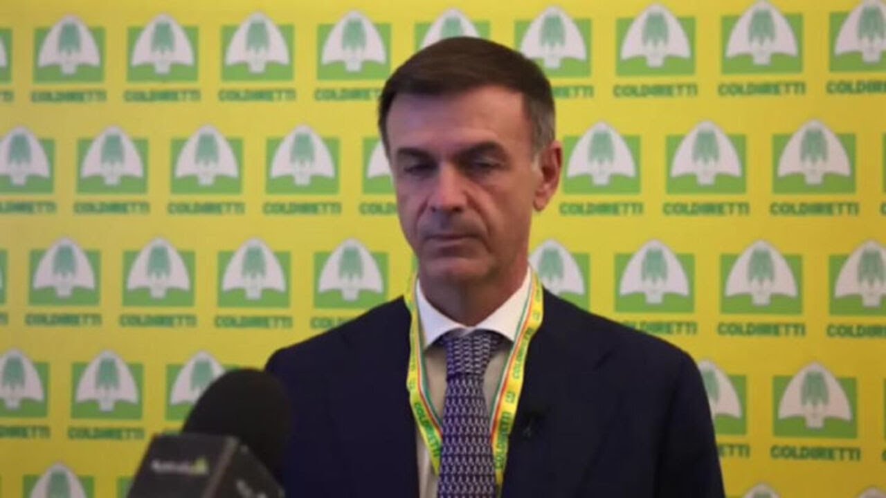 Prandini su export vini italiani: Supereremo difficoltà dei dazi Usa con la qualità dei prodotti