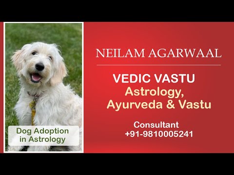 Adoption of Dog In Astrology By Astrologer Neilam Agarwaal-Vedic Vastu 9810005241