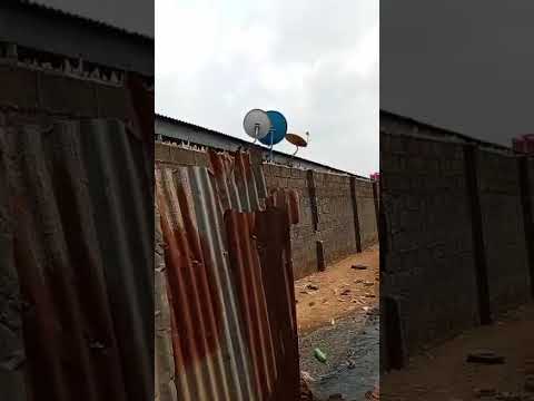 Full Plot of Land with Lintel Structure – Ikotun/Igando Road