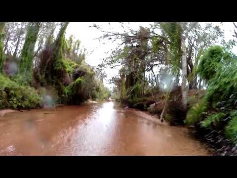 Holopaw FL Suburban Estates