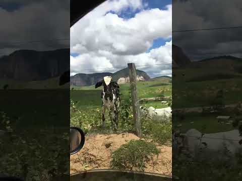 Ecoporanga-ES vistoria rural.  #roça #sitio #pecuarista #fazenda #engenharia #agro #vidanaroça