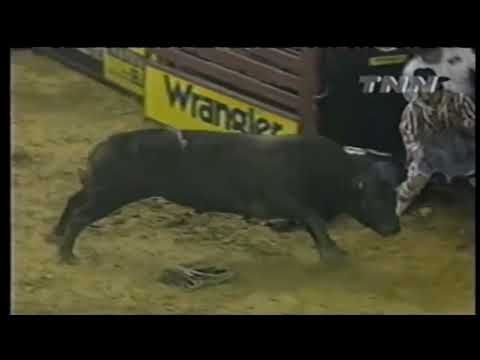PBR 2000: Locomotive Breath Breaks Norman Curry's Jaw