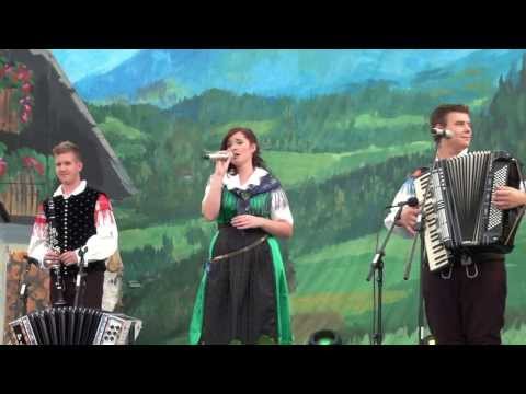 Ansambel Jug-Repnica (v živo)