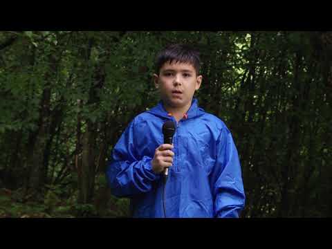 LUCA BURLACU - În cât timp se descompun gunoaiele lăsate în natură de turiști