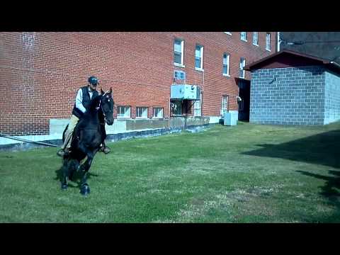 2012 11 11 12 18 00 891