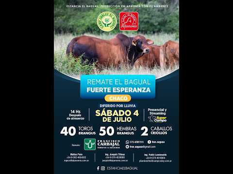 Remate el Bagual, Fuerte Esperanza - Chaco