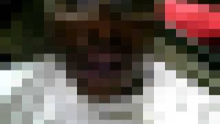 Jay-Z Breathe Easy Freestyle