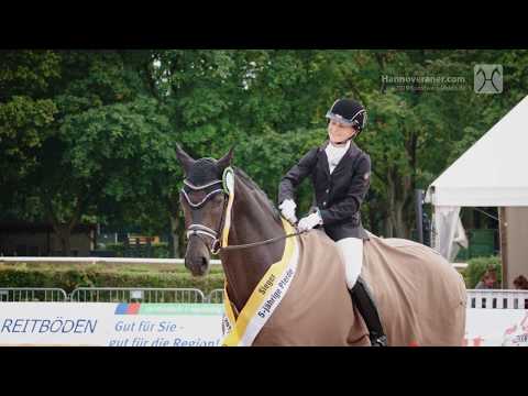 Hannoveraner Dressurpferde-Champion 2019 - Fünfjährige Pferde: Spökenkieker V
