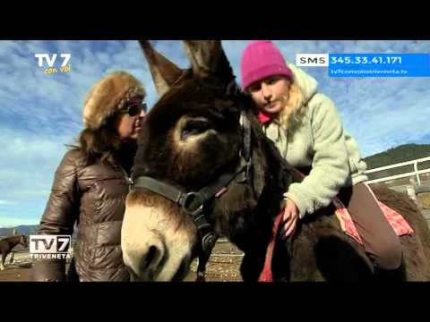 Tv7 con Voi del 21/12/2015 - Tanto divertimento e non solo sci (2 di 3)