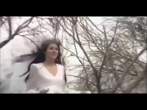 Simonetta Stefanelli in Man of the Year (1971)