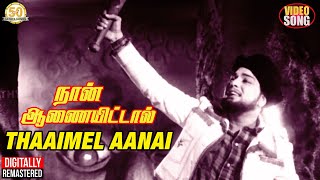Naan Aanaiyittal Tamil Movie  Thaaimel Aanai Video