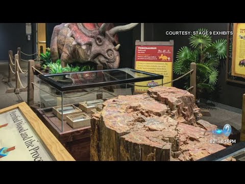 New dinosaur exhibit at Bishop Museum explores the moments before and after extinction