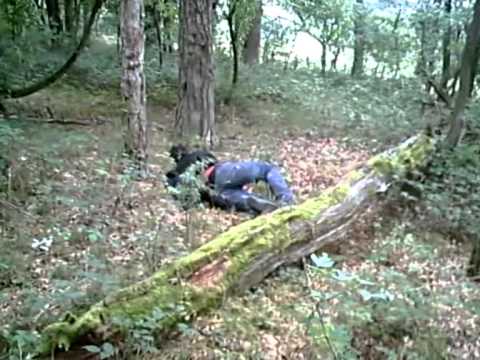 The Fall Of The Property.wmv