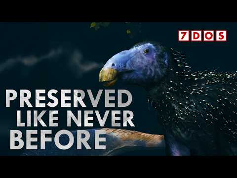 This Changes How We Reconstruct Dinosaurs