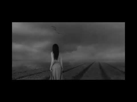 Osmi Putnik  -   Krive sam staze gazio- 1987