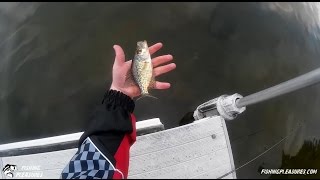 Dock Fishing For Panfish