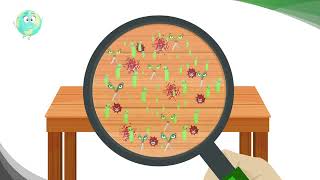 Cómo funciona un limpiador probiótico