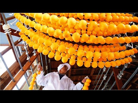 Japan Dried Persimmon Processing - Amazing Asia Agriculture Fruit Harvesting