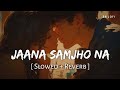 Jaana Samjho Na Slowed Reverb Bhool Bhulaiyaa 3 Aditya Rikhari Tulsi Kumar SR Lofi