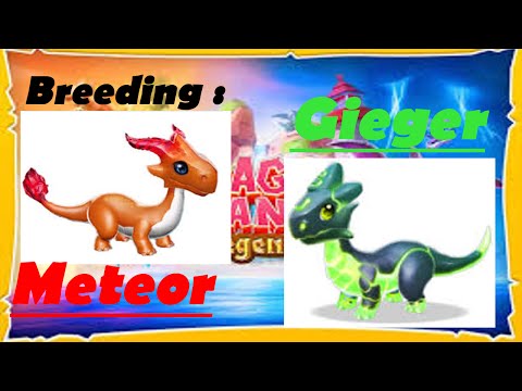 Dragon Mania Legend PC - Hatching Meteor and Gieger Dragons