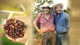 Starbuck's Coffee: Commodity Chain