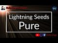 Lightning Seeds - Pure (Karaoke)