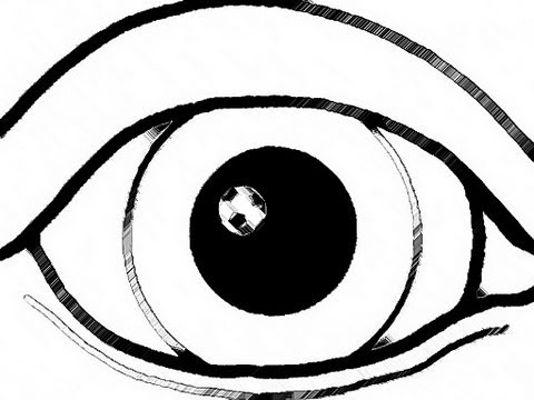 中立のサッカーファン (The Neutral Soccer Fan)