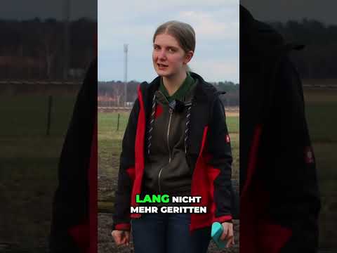 Getting back on a horse immediately after a fall? Learn to ride without fear!