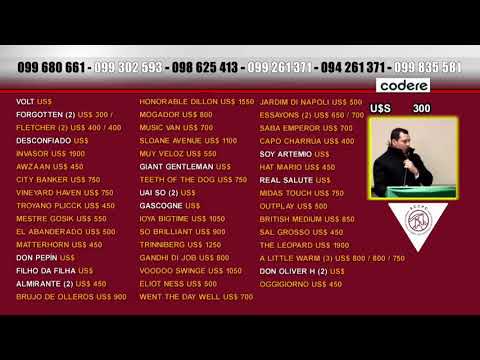 CARRERAS MARONAS 17 DEJULIO 2020 WWW.MARONASONLINE.COM