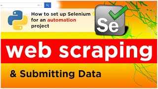 How to install Selenium + WebDriver #1 (geckodriver+chromedriver) for a client&#39;s automation project