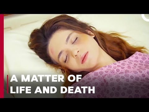 Yagiz Makes the Hardest Choice of His Life - Can't Stop Loving You