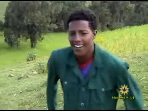 አላንሳው አላሳው ልተዎው  የዘንድሮን ነገር ዝም ነው። ዘንድሮንም ይገልፃል