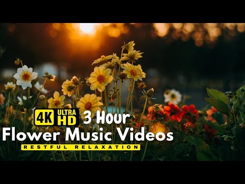 Gentle Blooming of Spring Flowers in 4K - Deep Relaxation to Spring Nature Colors & Sounds