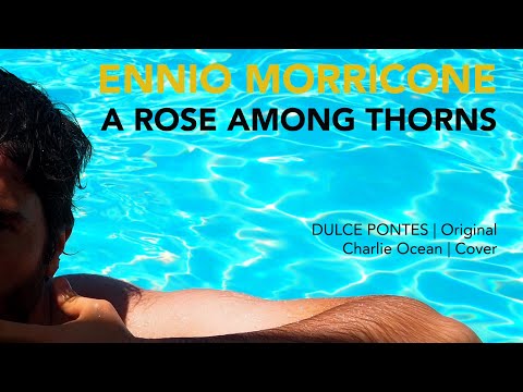 ENNIO MORRICONE | A Rose Among Thorns (The Mission) | Dulce Pontes / beautiful cover *