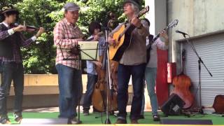 Come Back Darling - Uphill String Band