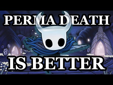 I Beat Hollow Knight Without Dying