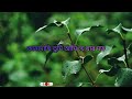 Kanamachi Mittha Kanamachi Sotto By Chirkut চিরকুট Cover By Shofiqur Rahman