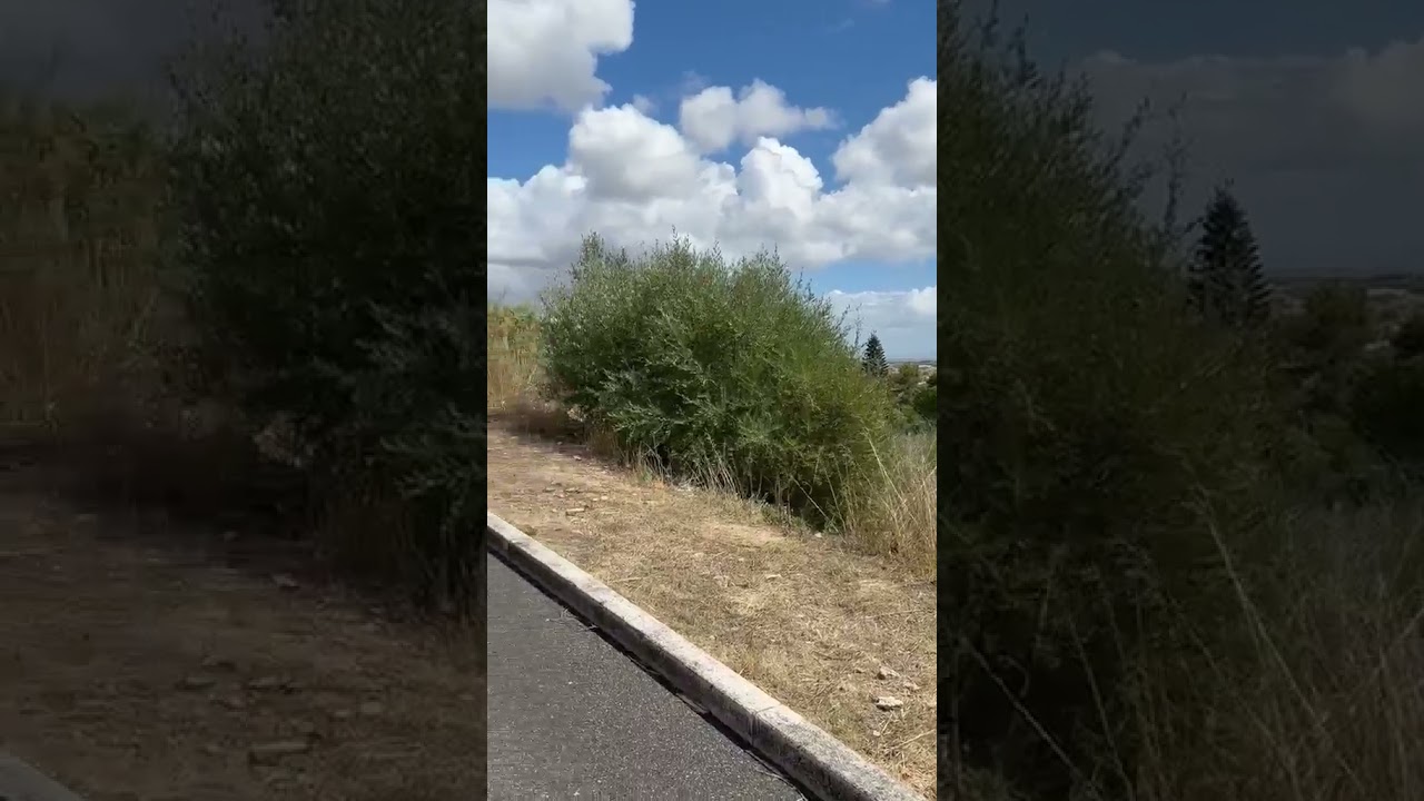 Vídeo do imóvel
