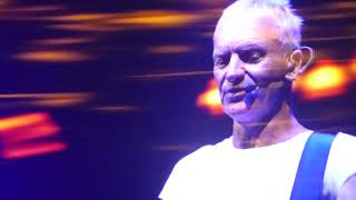 Sting - Tea In The Sahara (Live) Ljubljana 2024